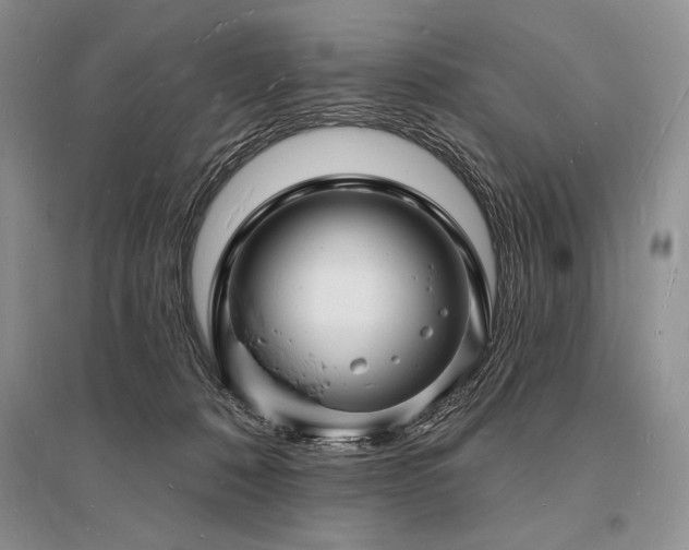X0000096390320200801241309