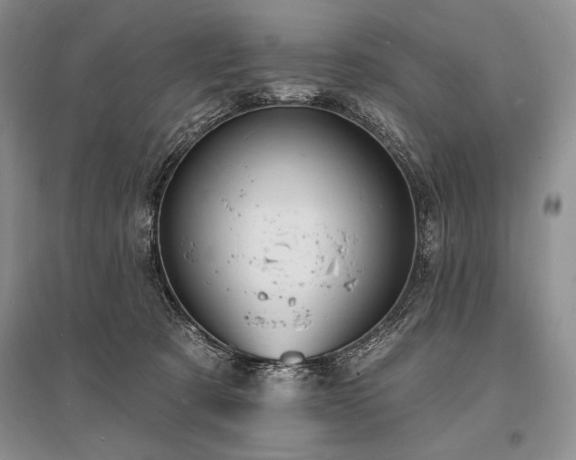 X0000096390321200801241309