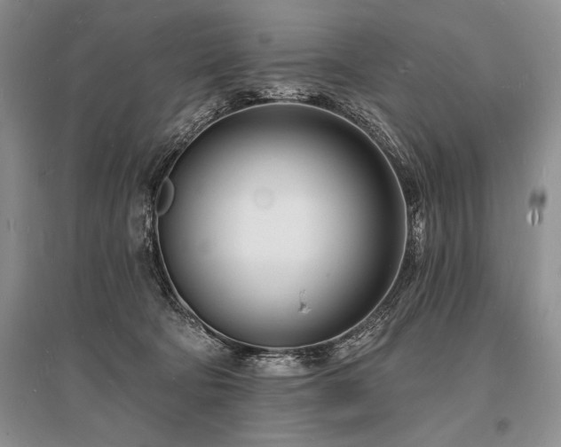 X0000096390322200801241309