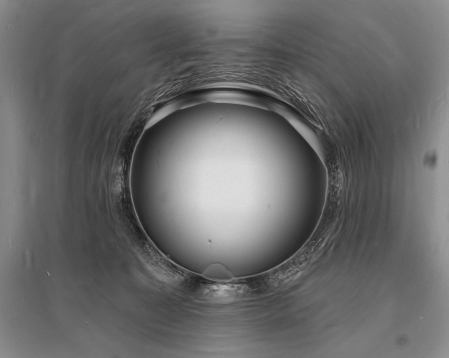 X0000096390323200801241309