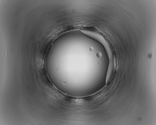 X0000096390324200801241308