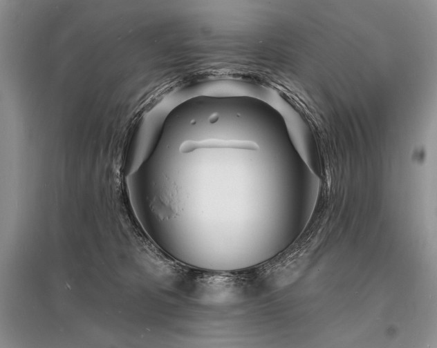 X0000096390325200801241308
