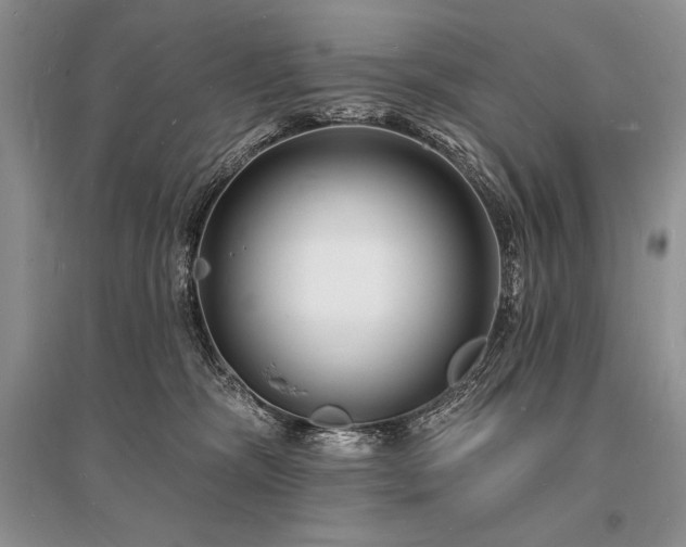 X0000096390326200801241308