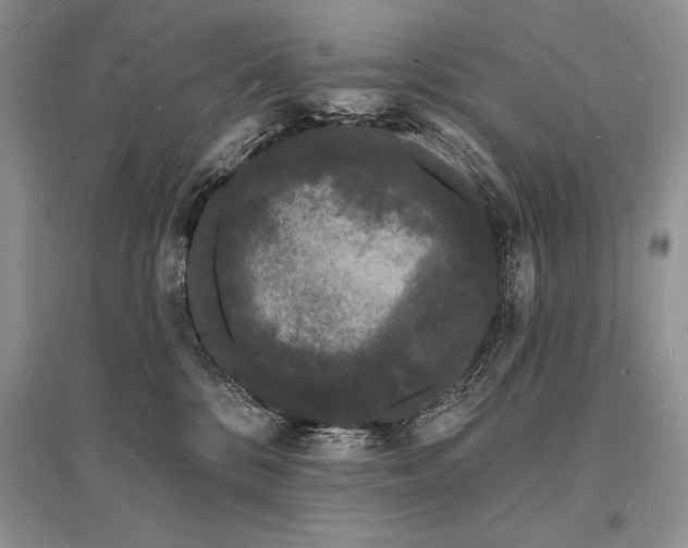 X0000096390328200801241308