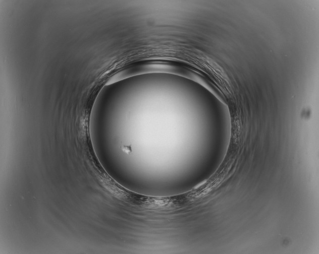 X0000096390329200801241308
