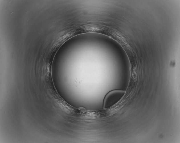 X0000096390330200801241308