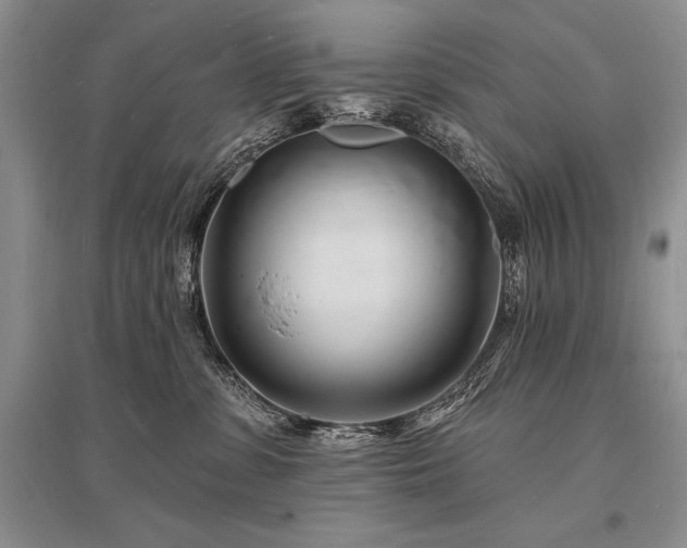 X0000096390331200801241308