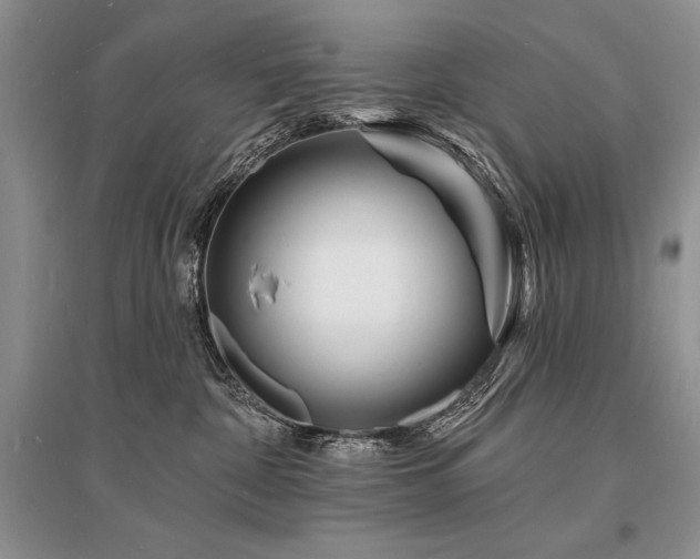X0000096390332200801241308