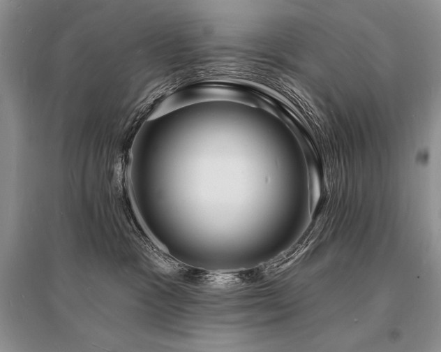 X0000096390333200801241308