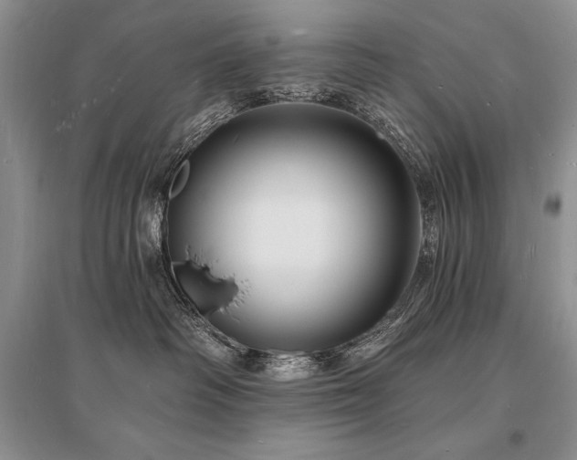 X0000096390334200801241308