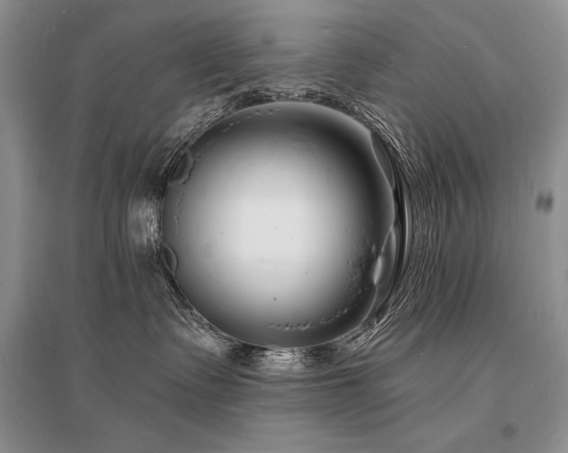 X0000096390335200801241308