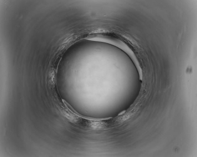 X0000096390336200801241308