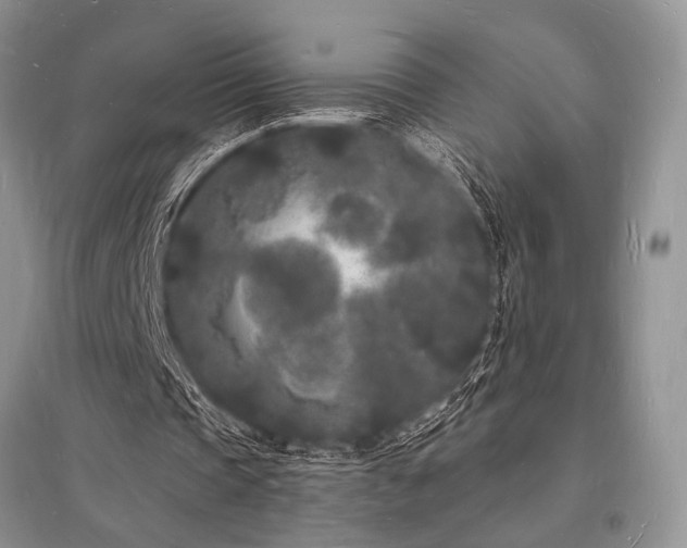 X0000096390337200801241307