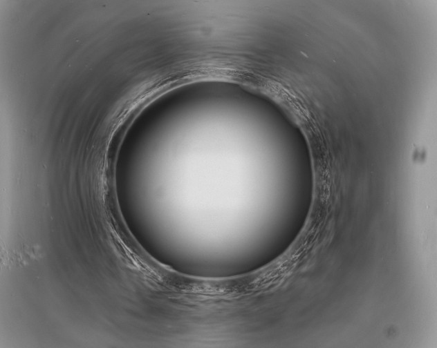 X0000096390338200801241307