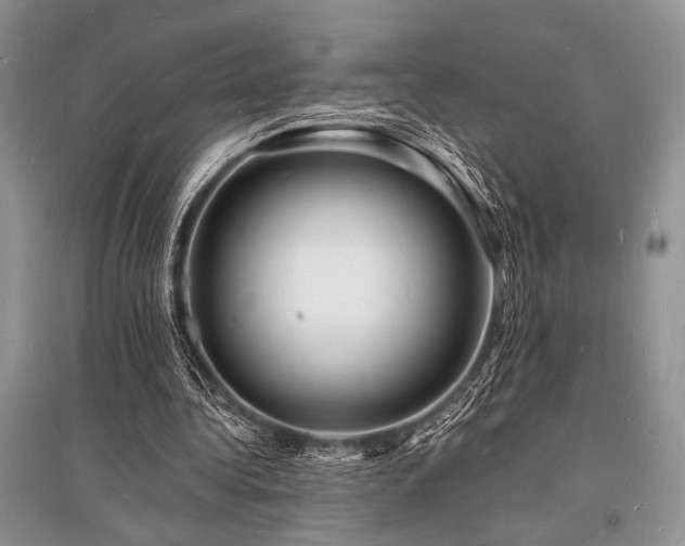 X0000096390340200801241307