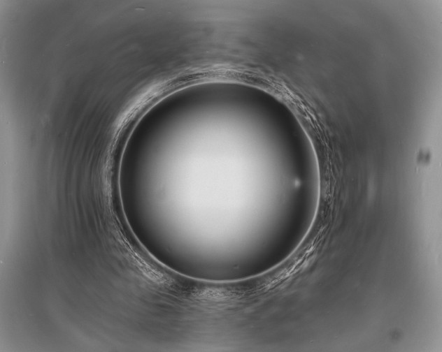 X0000096390341200801241307