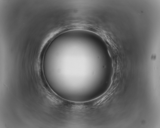 X0000096390342200801241307