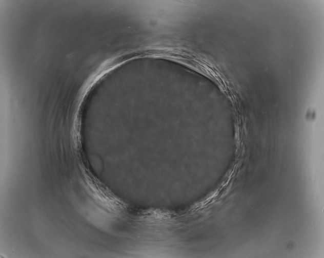X0000096390343200801241307