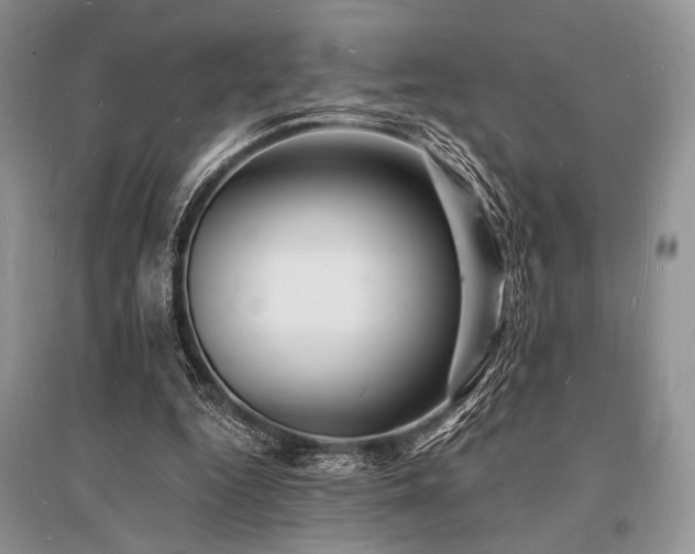 X0000096390344200801241307