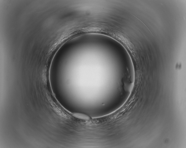 X0000096390345200801241307
