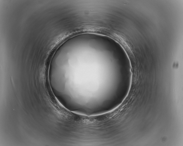 X0000096390346200801241307