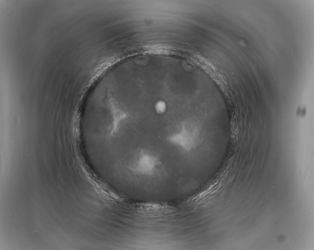 X0000096390347200801241307
