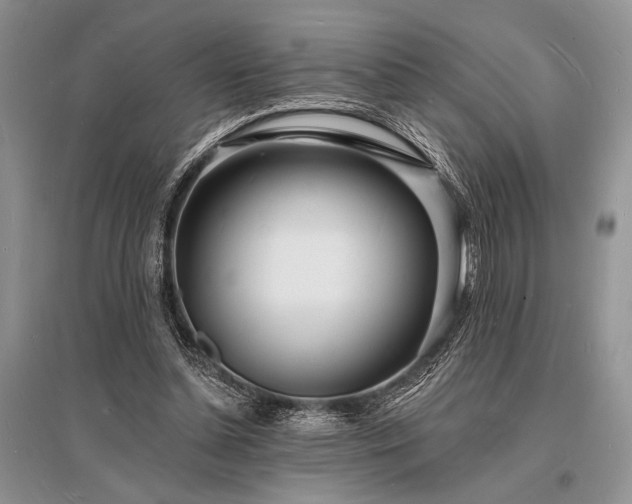 X0000096390348200801241307