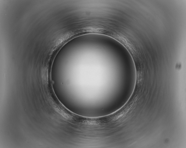 X0000096390349200801241307