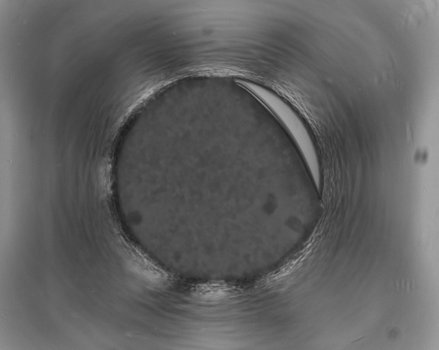 X0000096390351200801241308
