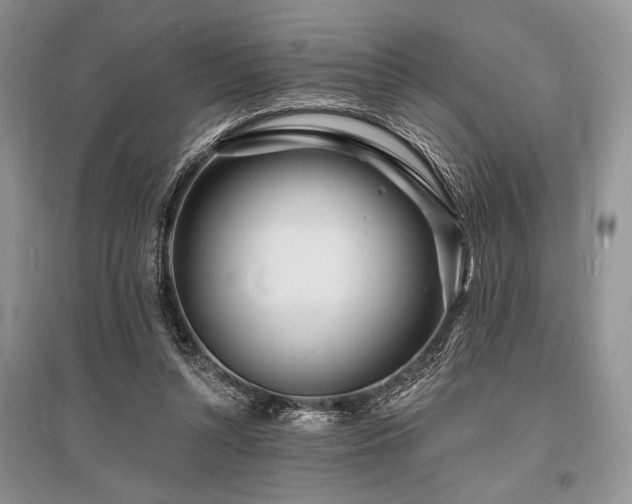 X0000096390352200801241308