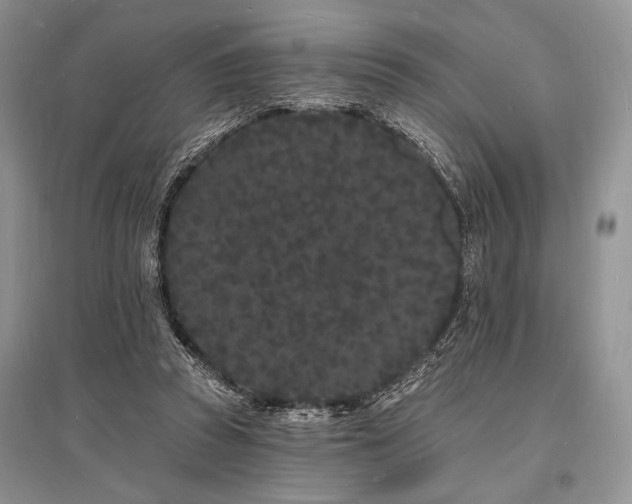 X0000096390353200801241308