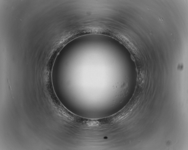 X0000096390355200801241308