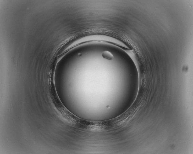 X0000096390356200801241308