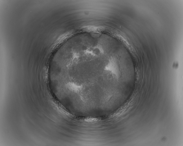 X0000096390357200801241308