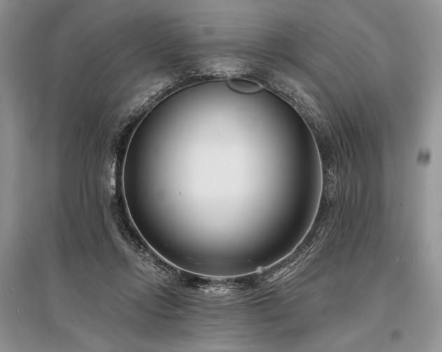 X0000096390358200801241308