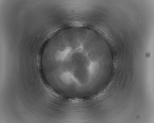 X0000096390359200801241308