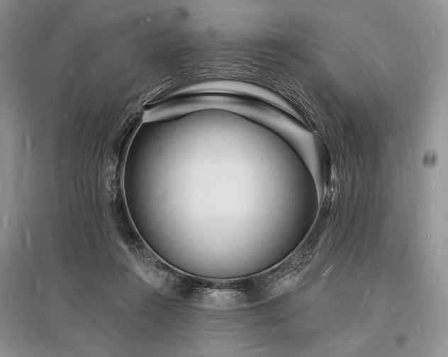 X0000096390360200801241308