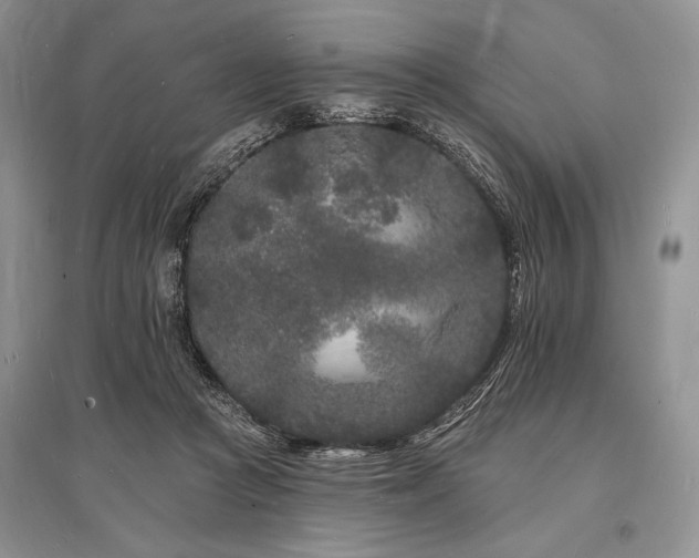 X0000096390361200801241308