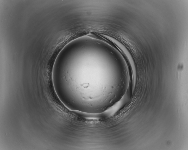 X0000096390362200801241308