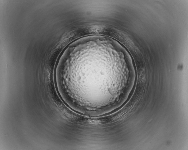 X0000096390363200801241308