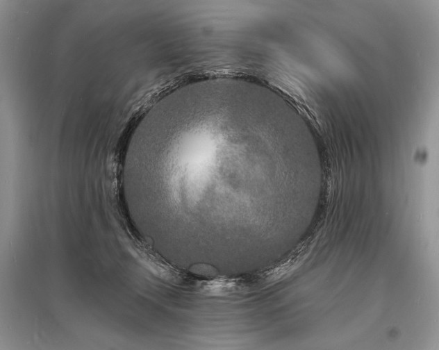 X0000096390366200801241308