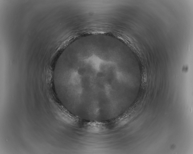 X0000096390367200801241308