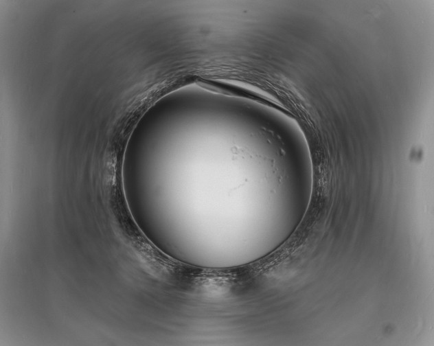 X0000096390368200801241308