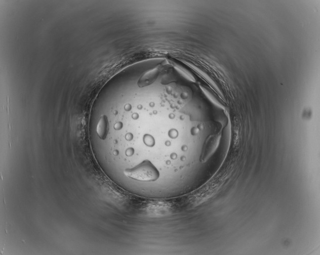 X0000096390369200801241308