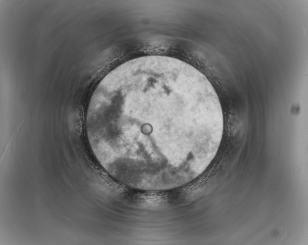 X0000096390370200801241308