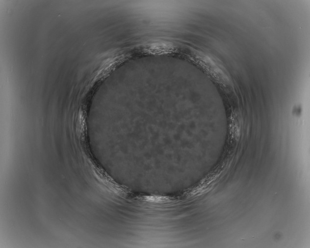 X0000096390371200801241308