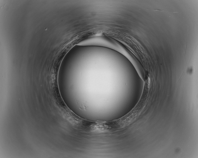 X0000096390372200801241308