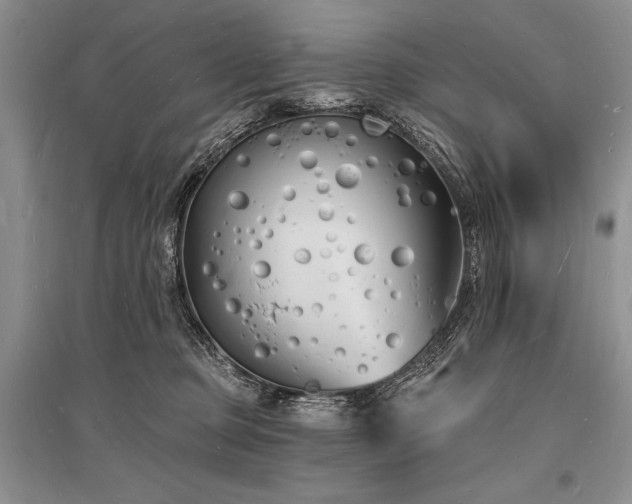 X0000096390373200801241308