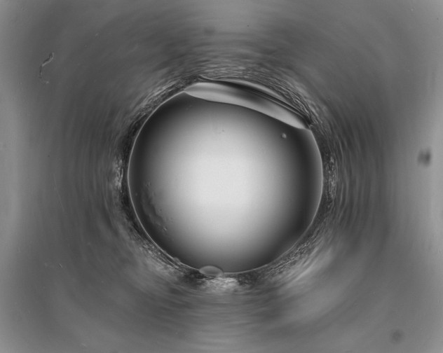 X0000096390374200801241308