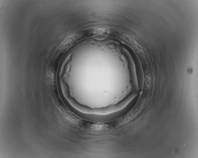 X0000096390375200801241308